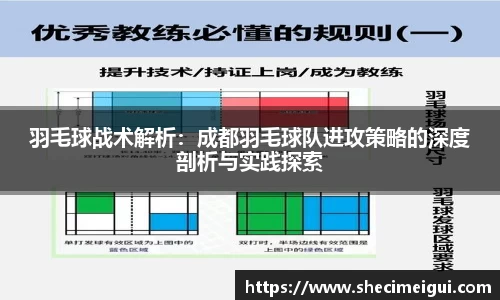 羽毛球战术解析：成都羽毛球队进攻策略的深度剖析与实践探索