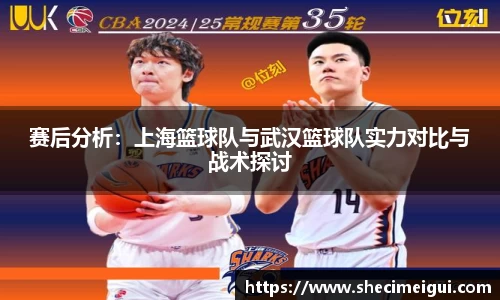 赛后分析：上海篮球队与武汉篮球队实力对比与战术探讨