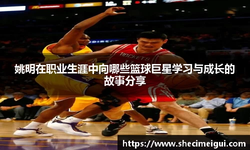 jn江南·体育登录入口