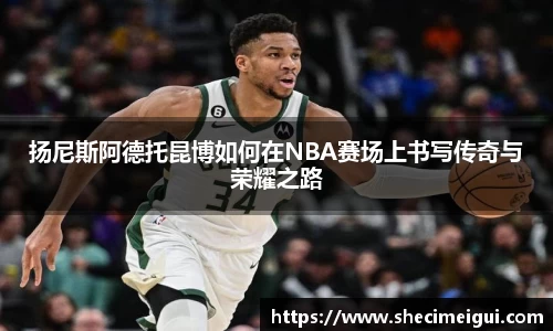 jn江南·体育登录入口
