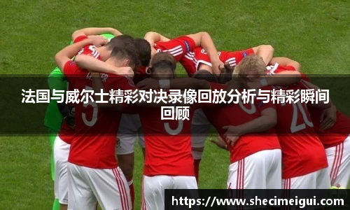 法国与威尔士精彩对决录像回放分析与精彩瞬间回顾